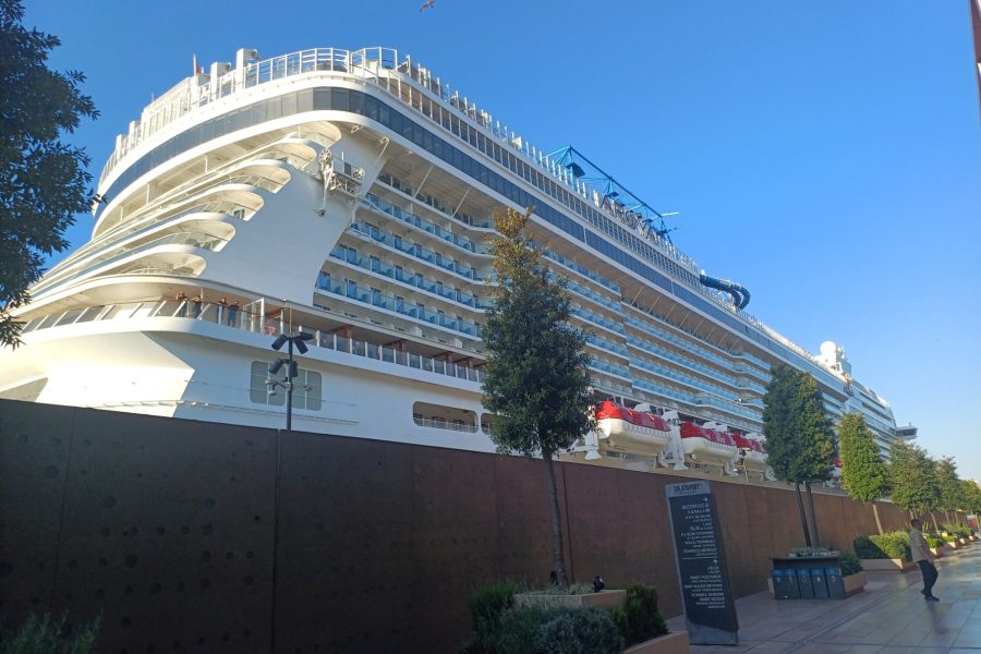Private Walking Tour From Istanbul Cruise Port
